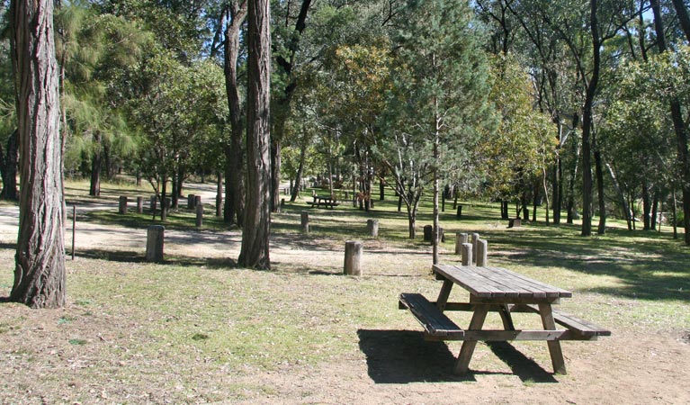 Atholwood NSW Accommodation Noosa
