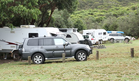 Pretty Beach Campground - Murramarang National Park - Accommodation Noosa 1
