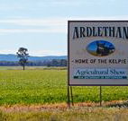 The Ardlethan Kelpie Caravan Park - Accommodation Noosa
