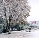 Maneroo Motel - Accommodation Noosa