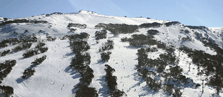 Thredbo Alpine Hotel - Accommodation Noosa