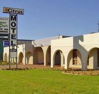 Citrus Motel - Accommodation Noosa