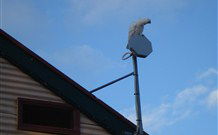 Lake View Farm House - Accommodation Noosa 7