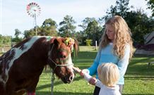 Mogendoura Farm - Accommodation Noosa 7