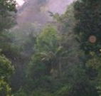 Havans Ecotourist Retreat - - Accommodation Noosa