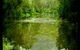 Mangrove Yoga Ashram - - thumb 0