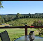 The Shed B and B - Accommodation Noosa