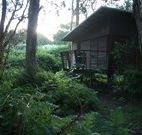 Mount Seaview Resort - Accommodation Noosa