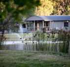 Mt Clunie Cabins - Accommodation Noosa