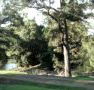 Rustic Caravan Park - Accommodation Noosa