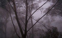 SeaChange Holiday Cottage And SeaStay Cottage - Accommodation Noosa 4