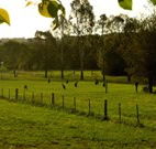 Stone Cottage Mittagong - Accommodation Noosa