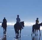 The Hayloft - Accommodation Noosa