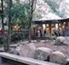 Williams River Holiday Park - Accommodation Noosa