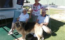 Yellowbox Country Cabins - Accommodation Noosa 3