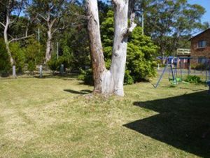 BiJs On The Beach - Accommodation Noosa 7