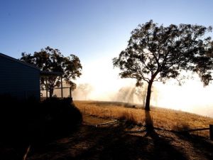Yellowbox Country Cabins - Accommodation Noosa 5
