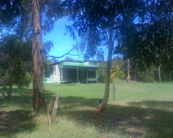 Dismal Swamp SA Accommodation Noosa