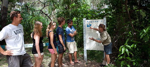 Magnetic Island YHA - Accommodation Noosa 8