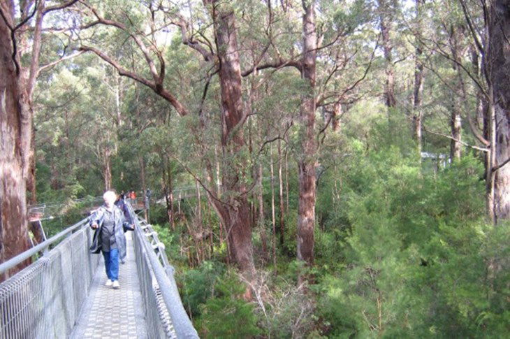  Accommodation Noosa