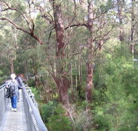 Walpole YHA - Accommodation Noosa