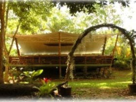 Cedar Park Rainforest Resort - Accommodation Noosa 2