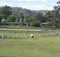 Kellarni Downs Farmstay-Scenic Rim - Accommodation Noosa