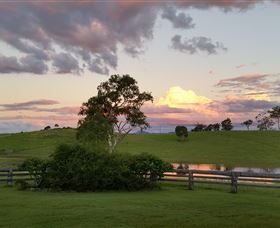 Marchioness Farmstay - Accommodation Noosa 2