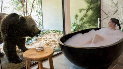 Jamala Wildlife Lodge - Accommodation Noosa 0