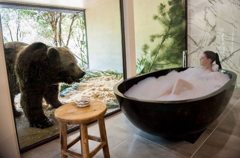 Jamala Wildlife Lodge - Accommodation Noosa 1