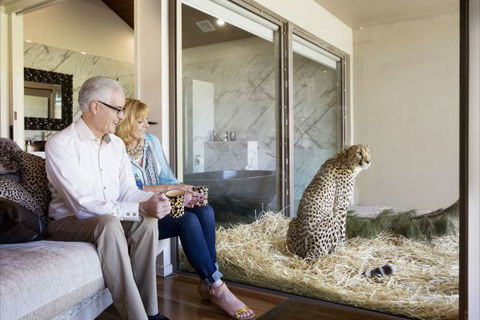 Jamala Wildlife Lodge - Accommodation Noosa 3