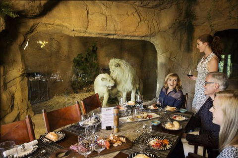 Jamala Wildlife Lodge - Accommodation Noosa 6