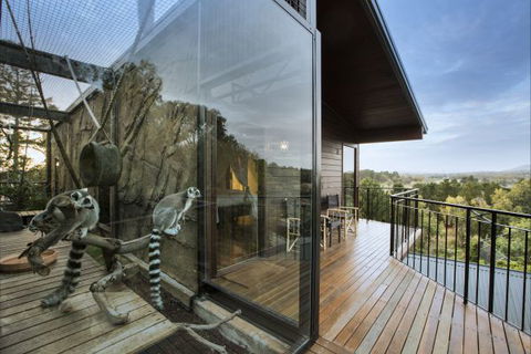Jamala Wildlife Lodge - Accommodation Noosa 10