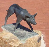 The Ardlethan Kelpie Caravan Park - Accommodation Noosa