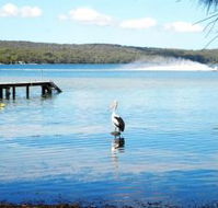 Dungowan Waterfront  Accommodation - Accommodation Noosa