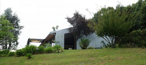Moosewood - Accommodation Noosa 6
