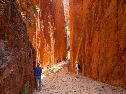 Standley Chasm Angkerle Camping - Accommodation Noosa 4