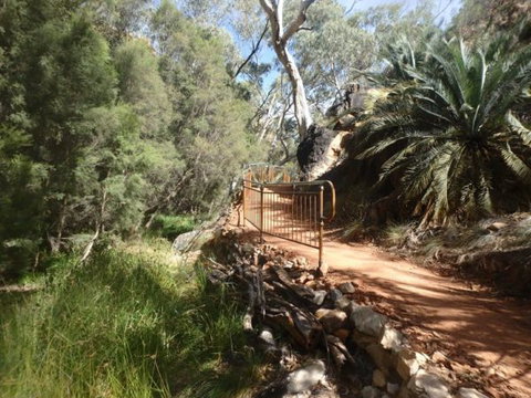 Standley Chasm Angkerle Camping - Accommodation Noosa 7