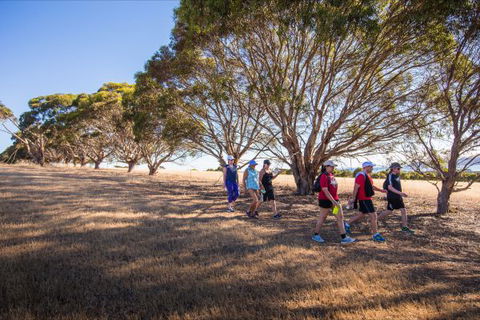Kangaroo Island Health Retreat - Accommodation Noosa 2