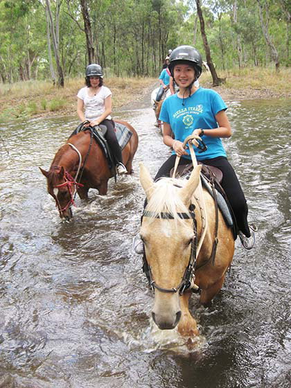 Billabong Ranch - Accommodation Noosa 7