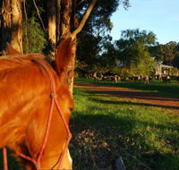 Billa Billa Farm Cottages - Accommodation Noosa