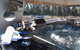 Murray River Houseboats - thumb 6