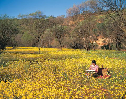 Miners Camp At Coalseam National Park - Accommodation Noosa 0