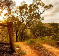 Kurrajong Trails and Cottages - Accommodation Noosa