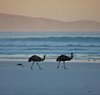 Thomas River Shire Reserve Camp at Cape Arid National Park - Accommodation Noosa