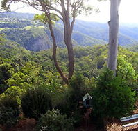 Mt Tamborine Motel - Accommodation Noosa