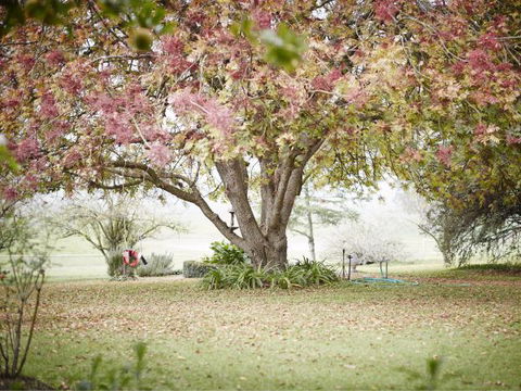 WillOaks B&B - Accommodation Noosa 8