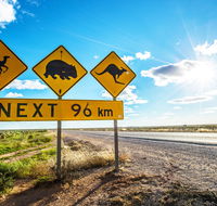 Nullarbor Roadhouse - Accommodation Noosa