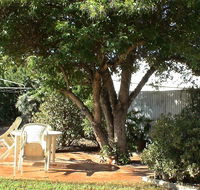 Bev's Retreat Bed and Breakfast - Accommodation Noosa