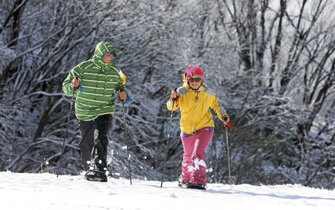 Frueauf Village - Accommodation Noosa 40